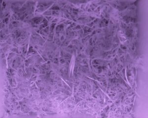 20230520-0130-nistkasten