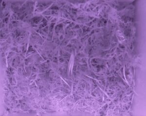 20230520-0230-nistkasten