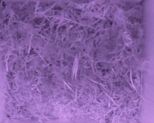 20230520-0430-nistkasten