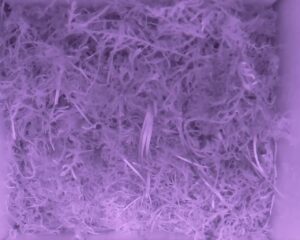 20230520-0530-nistkasten