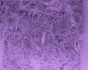 20230521-0130-nistkasten