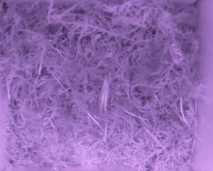 20230521-0230-nistkasten