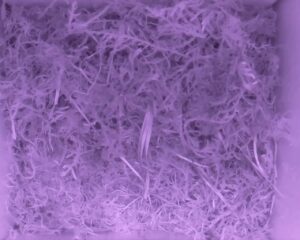 20230521-2130-nistkasten