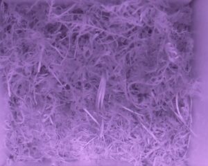 20230521-2230-nistkasten