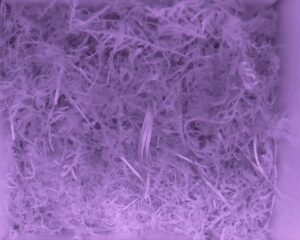 20230521-2330-nistkasten
