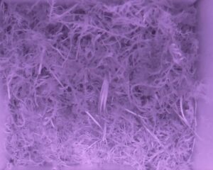 20230522-0030-nistkasten