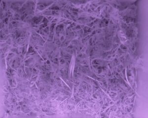 20230522-0130-nistkasten