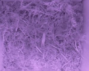 20230522-0230-nistkasten