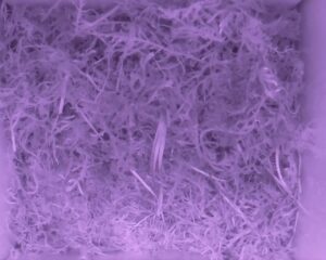 20230522-0330-nistkasten