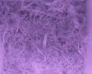 20230522-0430-nistkasten