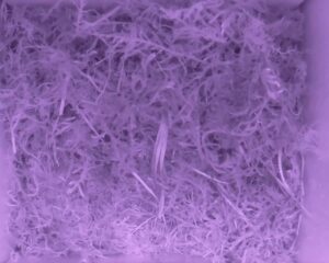 20230522-0530-nistkasten