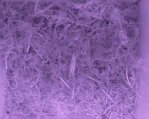 20230522-2130-nistkasten
