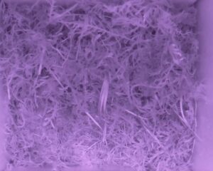 20230523-0030-nistkasten