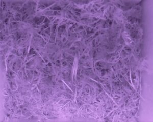 20230523-0330-nistkasten