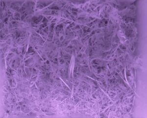 20230523-0430-nistkasten