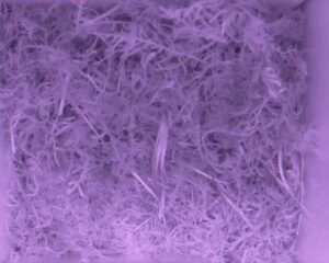 20230523-0530-nistkasten