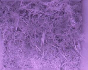 20230523-2130-nistkasten